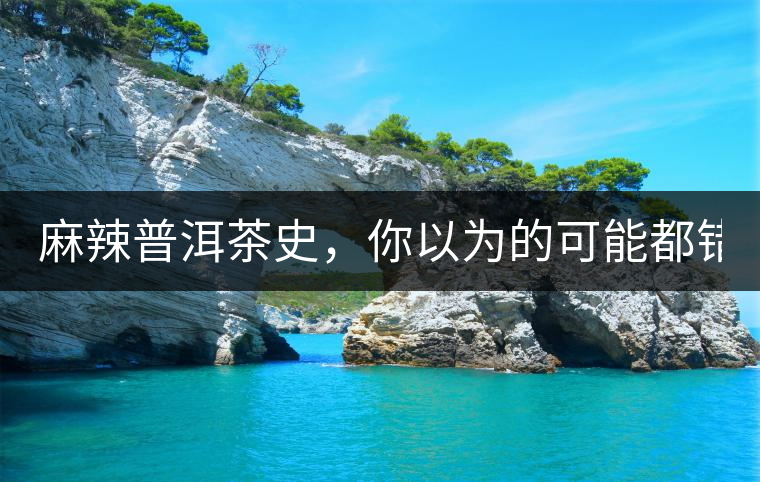 麻辣普洱茶史，你以為的可能都錯了！