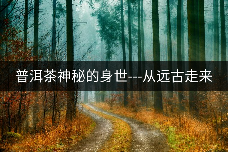 普洱茶神秘的身世---從遠古走來