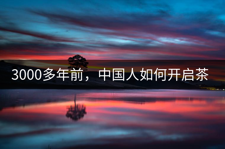 3000多年前，中國人如何開啟茶生活？