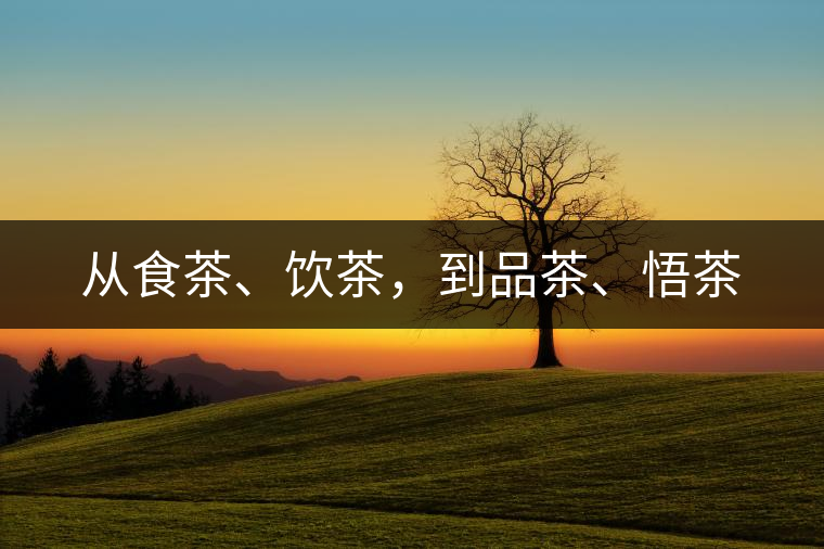 從食茶、飲茶，到品茶、悟茶