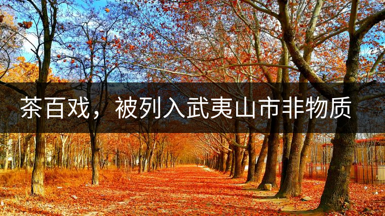 茶百戲,被列入武夷山市非物質文化遺產的茶湯 茶百戲,被列入武夷山市非物質文化遺產的茶湯