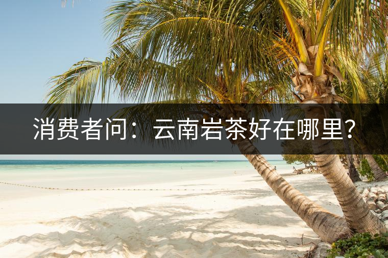 消費者問：云南巖茶好在哪里？