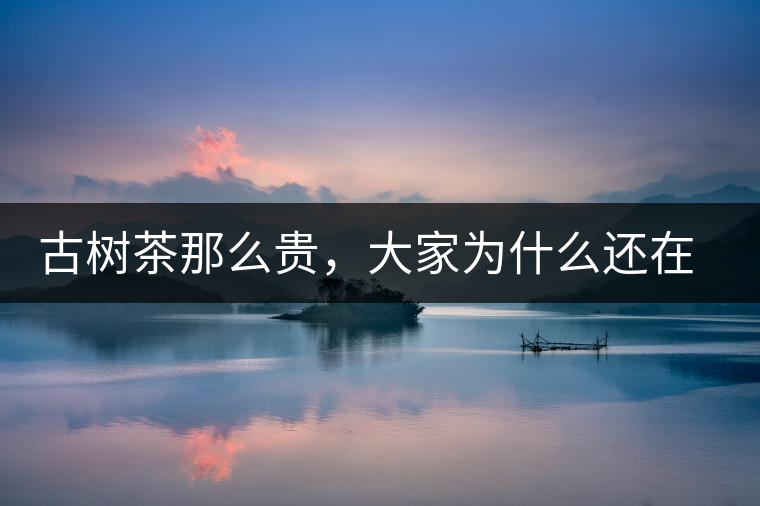 古樹茶那么貴,大家為什么還在瘋狂追求? 古樹茶那么貴,大家為什么還在瘋狂追求?