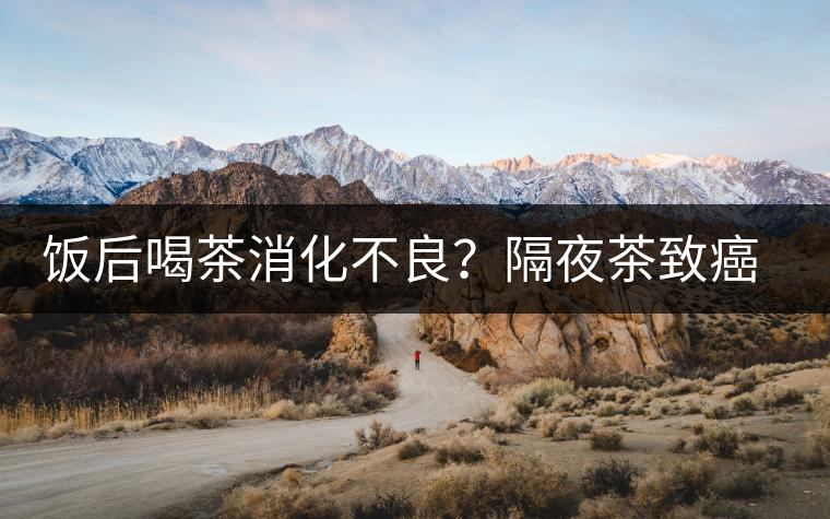 飯后喝茶消化不良？隔夜茶致癌？9個喝茶流言你該好好分個真假