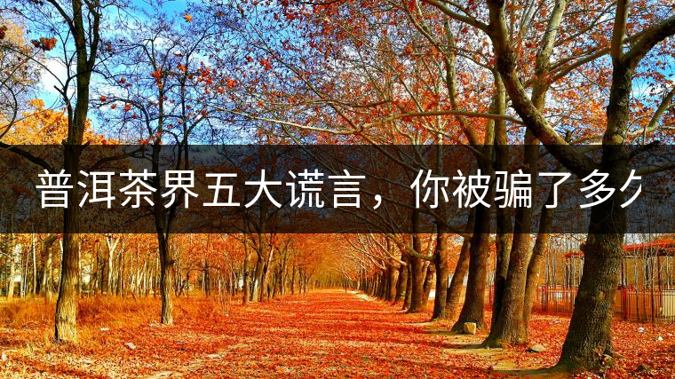 普洱茶界五大謊言，你被騙了多久？