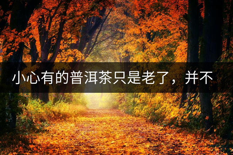 小心有的普洱茶只是老了，并不是好了