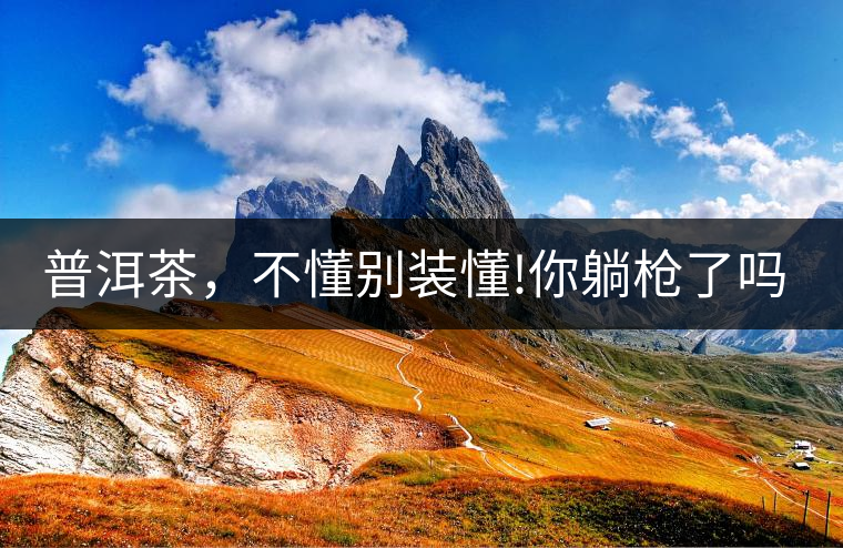 普洱茶,不懂別裝懂!你躺槍了嗎? 普洱茶,不懂別裝懂!你躺槍了嗎?