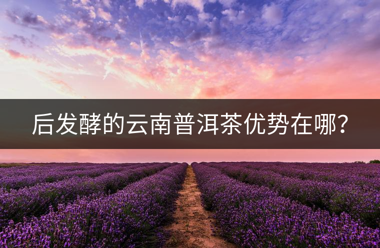 后發酵的云南普洱茶優勢在哪？