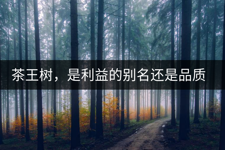茶王樹,是利益的別名還是品質的象征? 茶王樹,是利益的別名還是品質的象征?