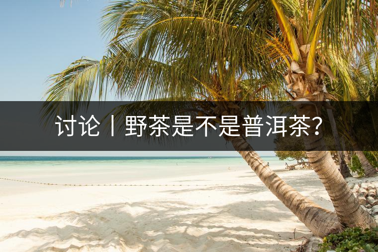 討論丨野茶是不是普洱茶? 討論丨野茶是不是普洱茶?