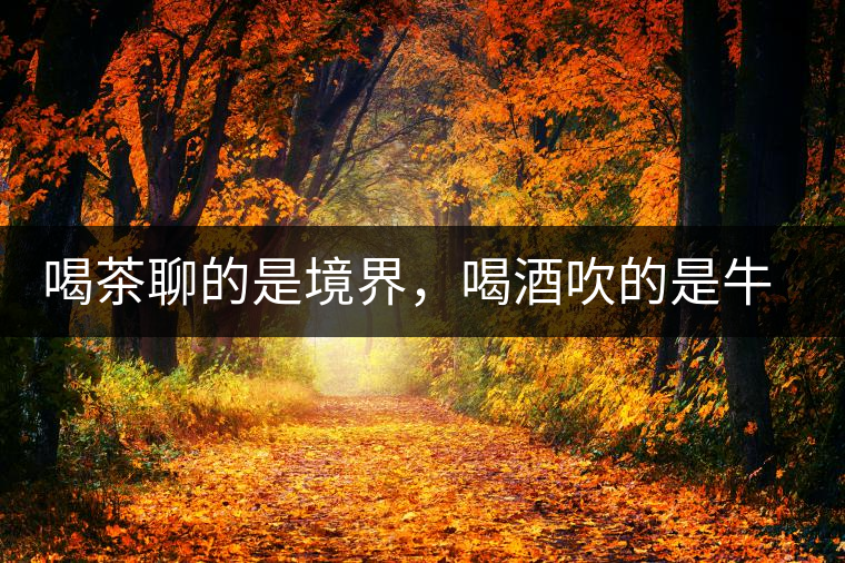 喝茶聊的是境界，喝酒吹的是牛皮