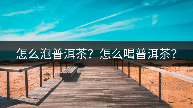 怎么泡普洱茶？怎么喝普洱茶？