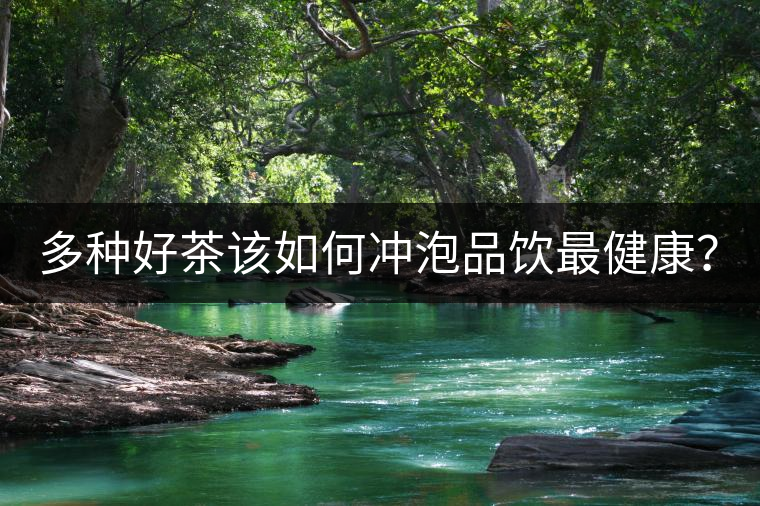 多種好茶該如何沖泡品飲最健康? 多種好茶該如何沖泡品飲最健康?