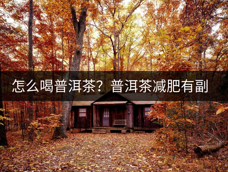 怎么喝普洱茶？普洱茶減肥有副作用嗎？
