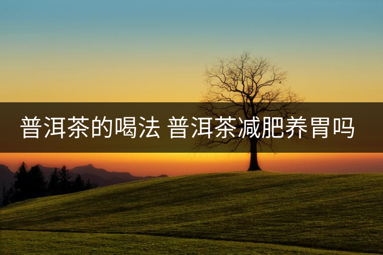 普洱茶的喝法 普洱茶減肥養(yǎng)胃嗎? 普洱茶的喝法 普洱茶減肥養(yǎng)胃嗎?