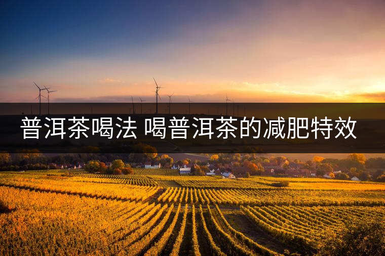 普洱茶喝法 喝普洱茶的減肥特效是什么呢？