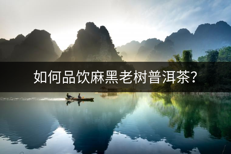 如何品飲麻黑老樹普洱茶? 如何品飲麻黑老樹普洱茶?