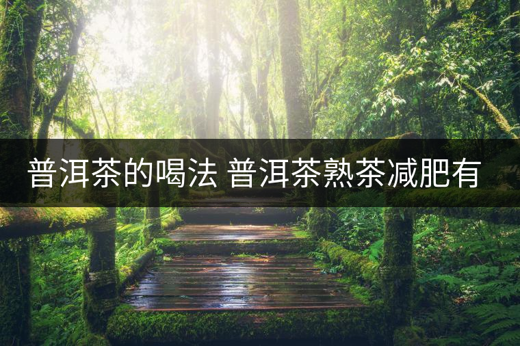 普洱茶的喝法 普洱茶熟茶減肥有什么效果嗎? 普洱茶的喝法 普洱茶熟茶減肥有什么效果嗎?