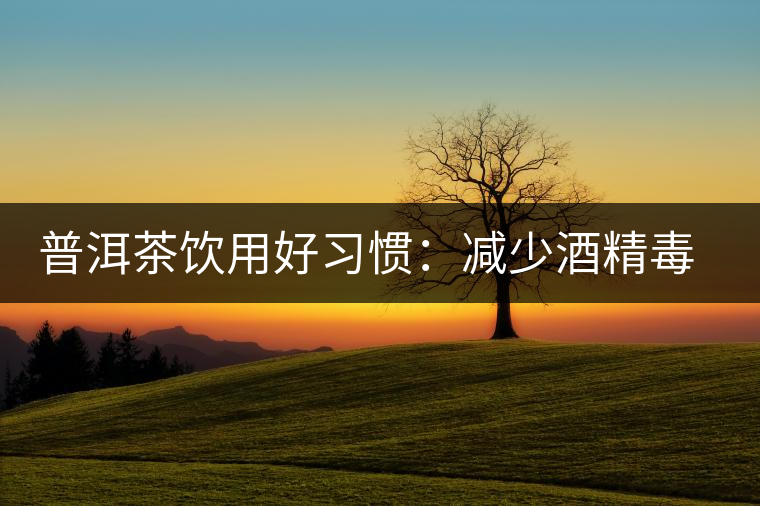 普洱茶飲用好習慣：減少酒精毒害宜適當飲茶