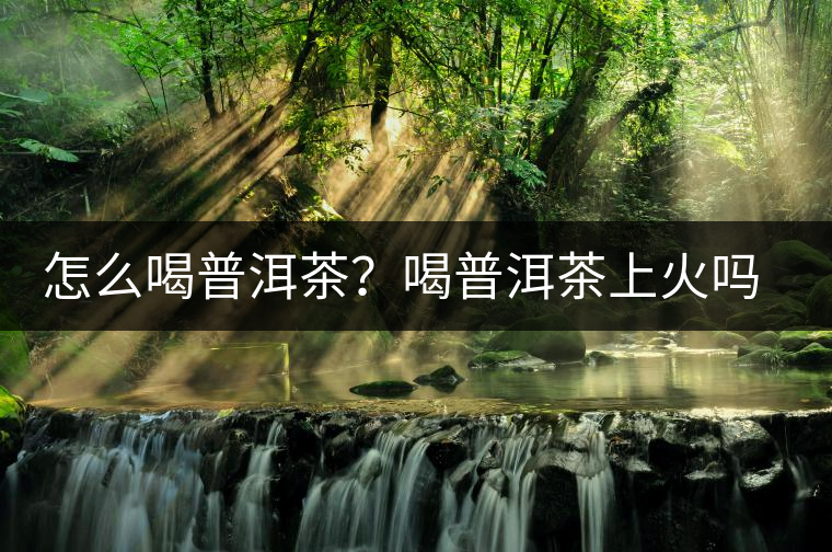 怎么喝普洱茶?喝普洱茶上火嗎?喝普洱茶會不會上火? 怎么喝普洱茶?喝普洱茶上火嗎?喝普洱茶會不會上火?