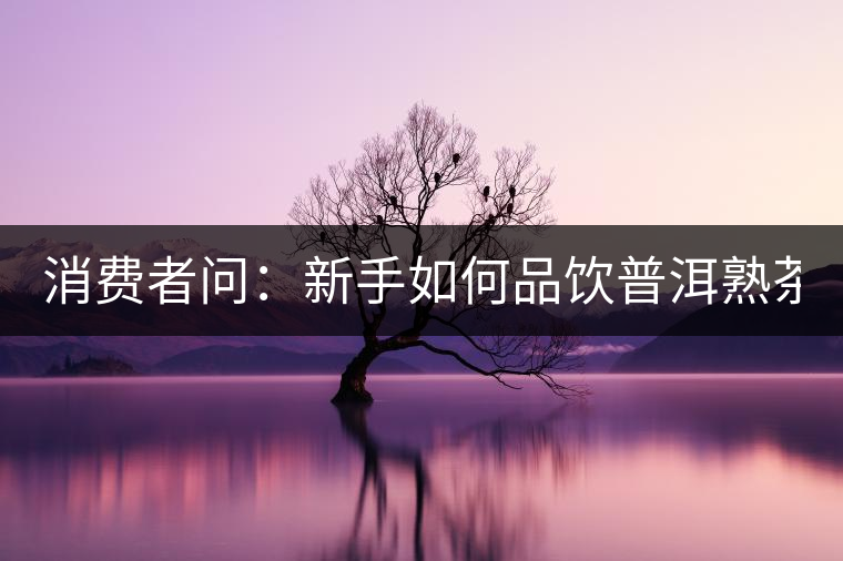 消費(fèi)者問:新手如何品飲普洱熟茶? 消費(fèi)者問:新手如何品飲普洱熟茶?
