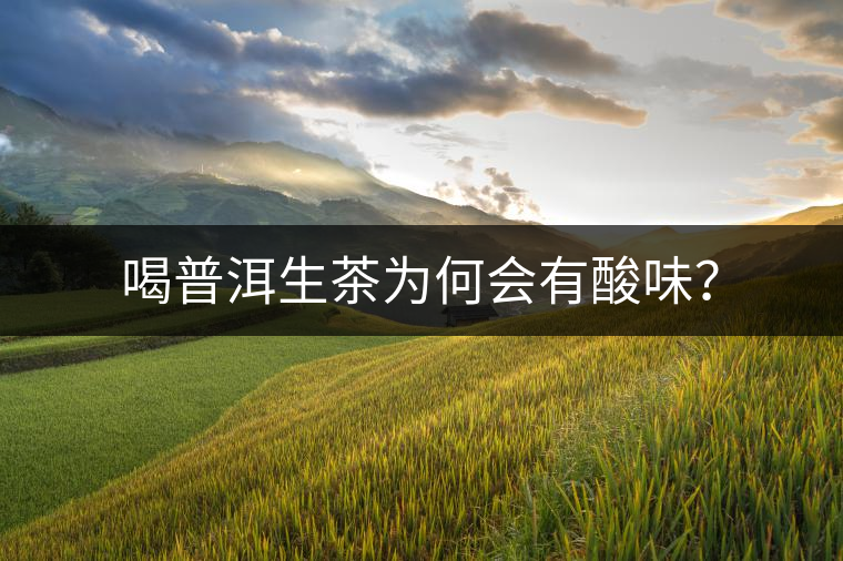 喝普洱生茶為何會有酸味? 喝普洱生茶為何會有酸味?