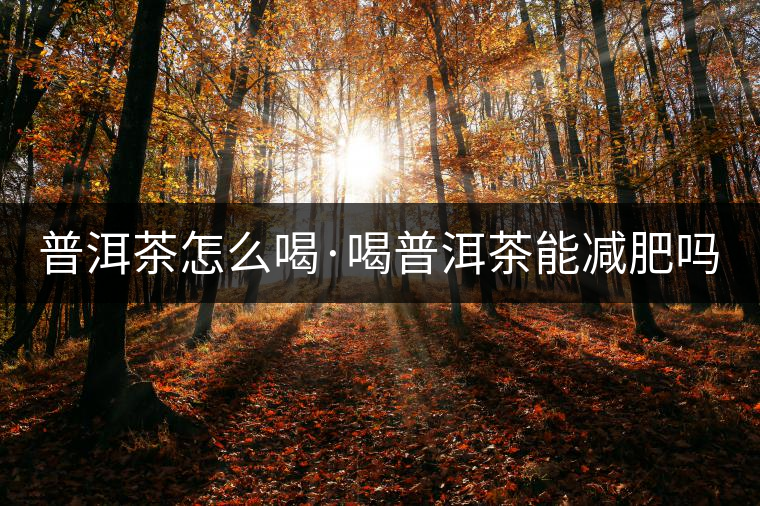 普洱茶怎么喝·喝普洱茶能減肥嗎? 普洱茶怎么喝·喝普洱茶能減肥嗎?