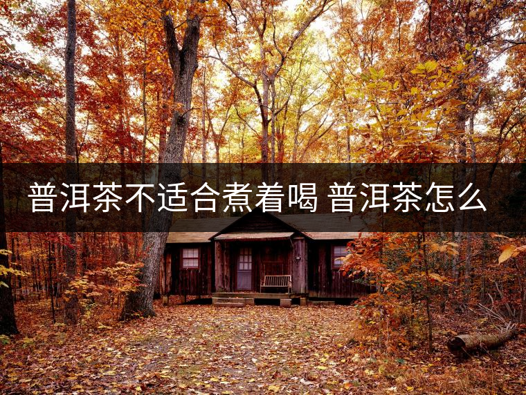 普洱茶不適合煮著喝 普洱茶怎么喝? 普洱茶不適合煮著喝 普洱茶怎么喝?