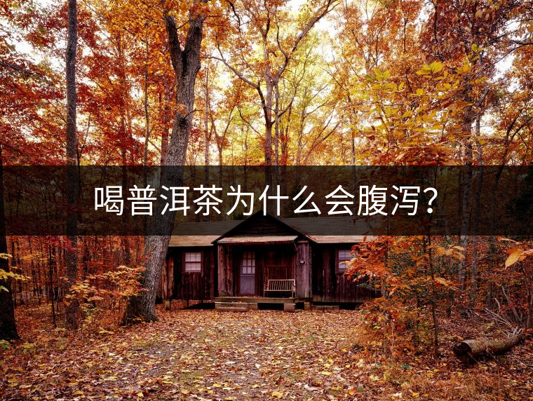 喝普洱茶為什么會腹瀉? 喝普洱茶為什么會腹瀉?