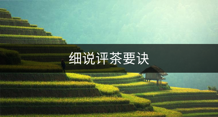 細說評茶要訣