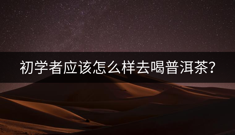初學者應該怎么樣去喝普洱茶? 初學者應該怎么樣去喝普洱茶?