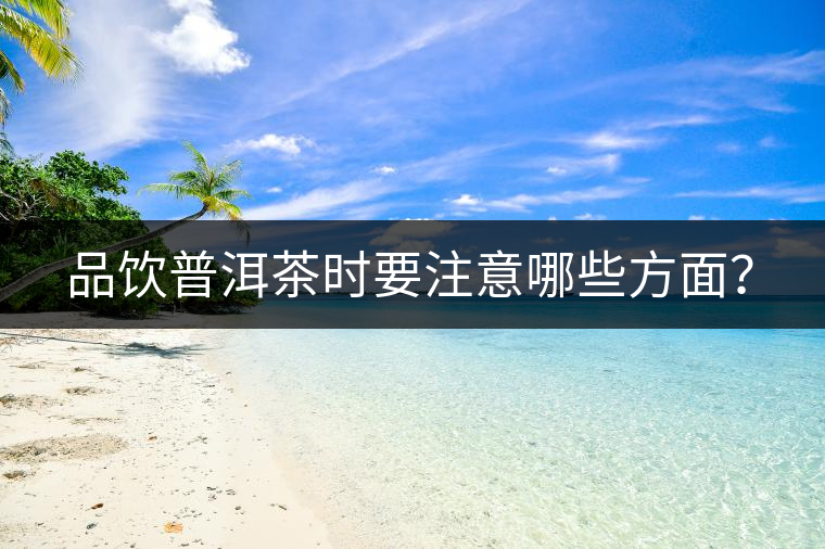 品飲普洱茶時要注意哪些方面? 品飲普洱茶時要注意哪些方面?