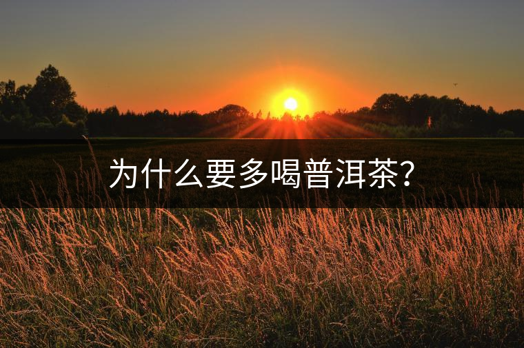 為什么要多喝普洱茶? 為什么要多喝普洱茶?