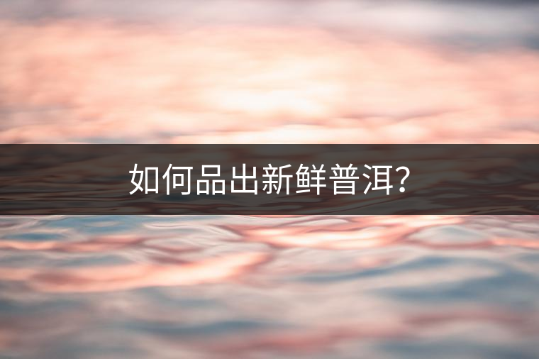 如何品出新鮮普洱? 如何品出新鮮普洱?