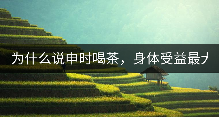 為什么說申時喝茶，身體受益最大？