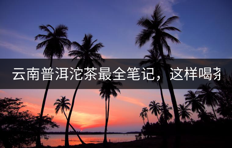云南普洱沱茶最全筆記，這樣喝茶才更健康！