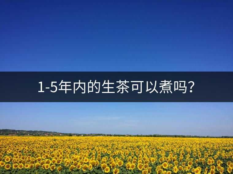 1-5年內的生茶可以煮嗎? 1-5年內的生茶可以煮嗎?