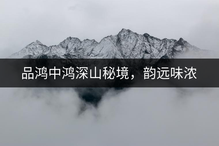 品鴻中鴻深山秘境，韻遠味濃