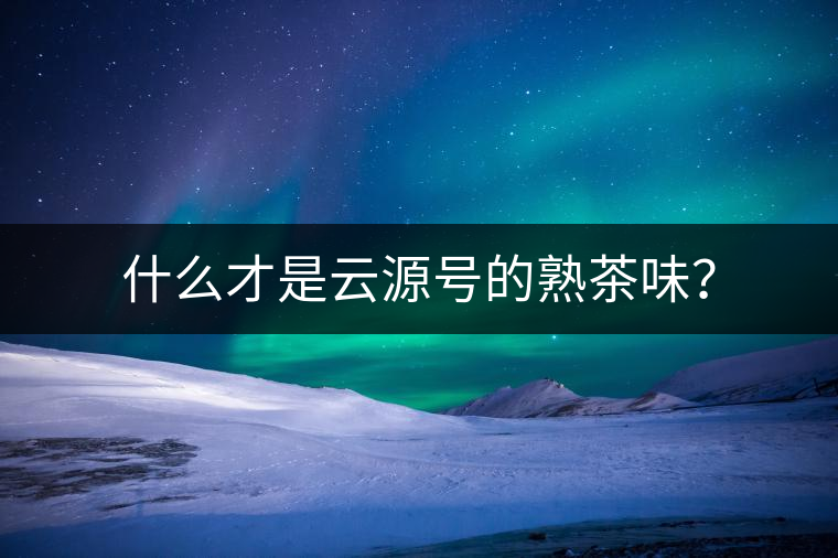 什么才是云源號的熟茶味？