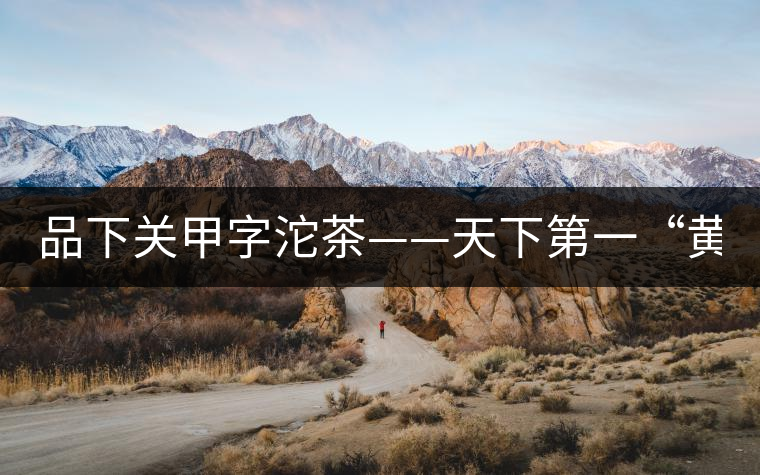 品下關甲字沱茶——天下第一“黃金甲” 品下關甲字沱茶——天下第一“黃金甲”