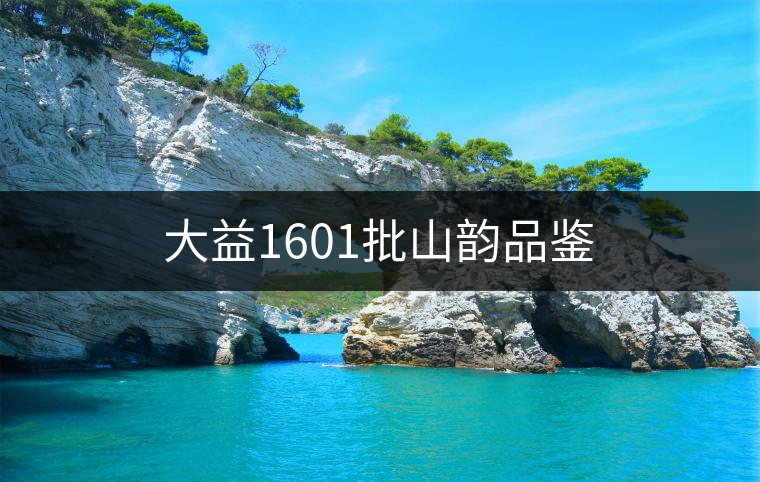 大益1601批山韻品鑒 大益1601批山韻品鑒