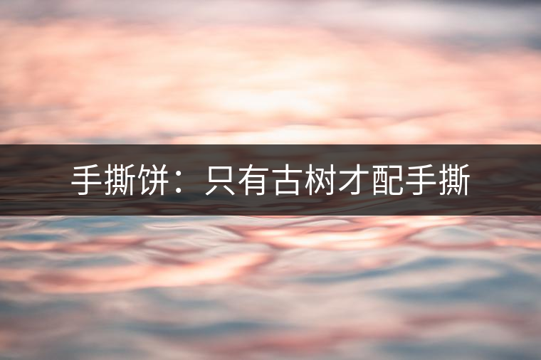 手撕餅:只有古樹才配手撕 手撕餅:只有古樹才配手撕