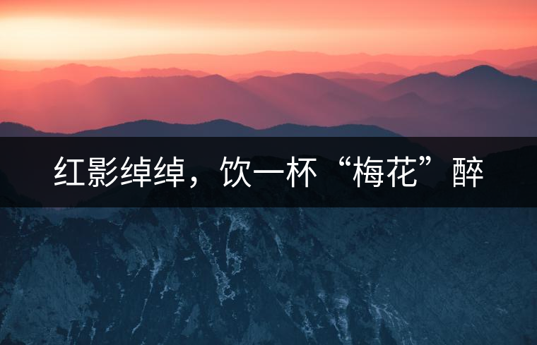 紅影綽綽,飲一杯“梅花”醉 紅影綽綽,飲一杯“梅花”醉