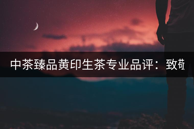 中茶臻品黃印生茶專業品評：致敬經典 再啟新篇