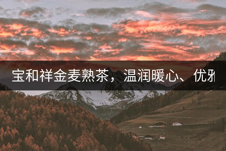 寶和祥金麥熟茶，溫潤暖心、優雅迷人。