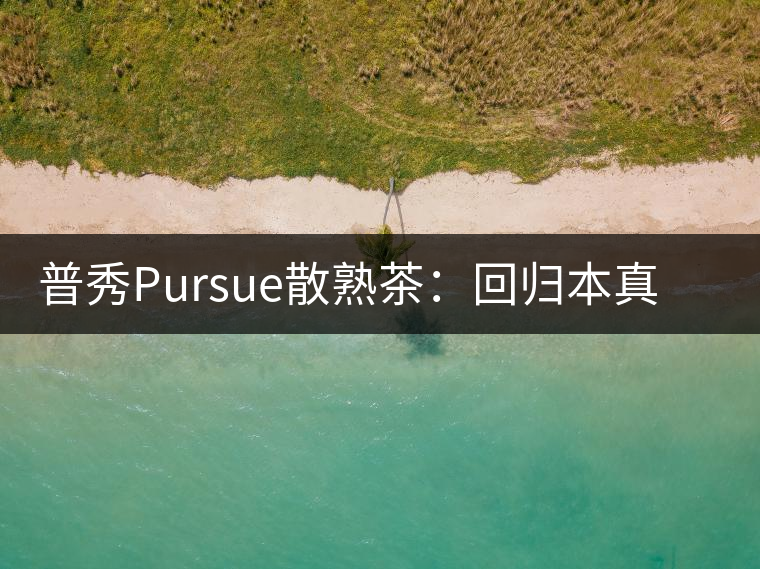 普秀Pursue散熟茶：回歸本真，一款高性價比口糧散熟茶