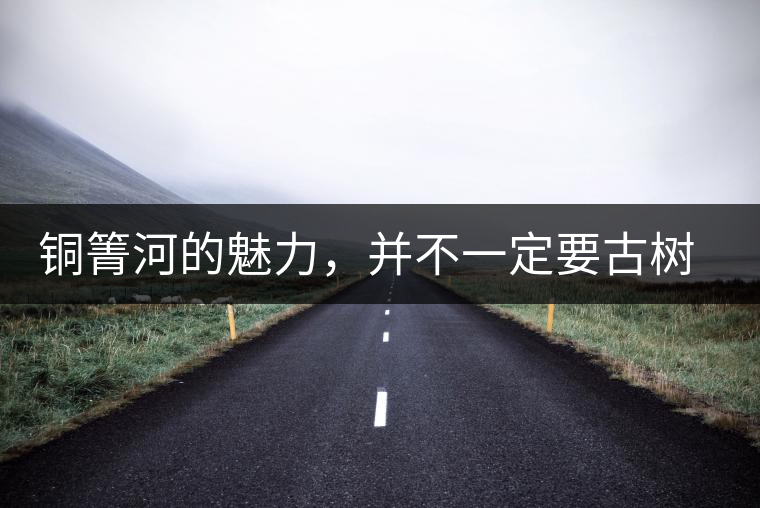 銅箐河的魅力，并不一定要古樹來體現