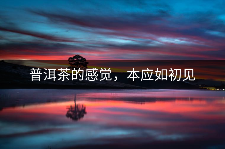 普洱茶的感覺，本應如初見