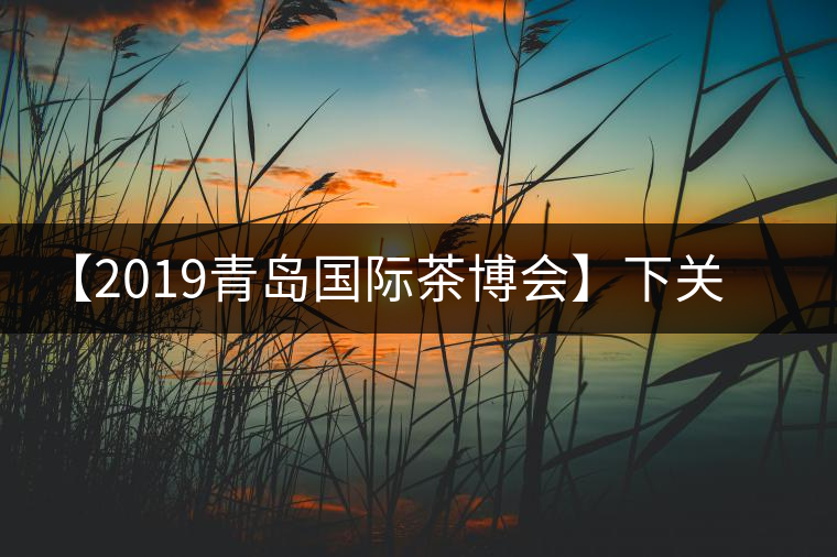 【2019青島國際茶博會】下關沱茶攜新品C位亮相！