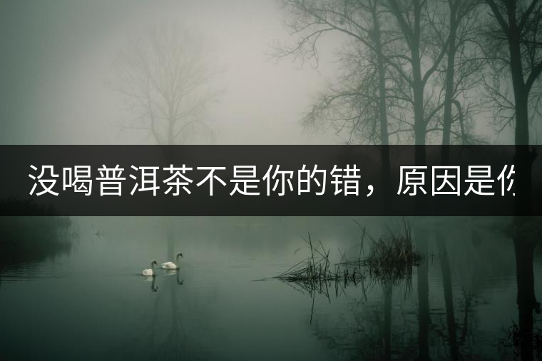 沒喝普洱茶不是你的錯(cuò),原因是你還沒遇到Y(jié)671與Y562 沒喝普洱茶不是你的錯(cuò),原因是你還沒遇到Y(jié)671與Y562